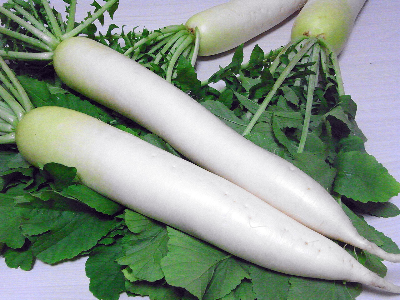 釧路ほくげん大根