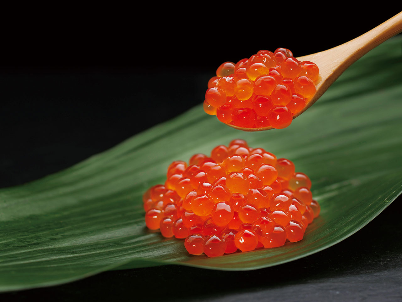 秋鮭（いくら）